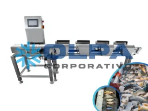 Máquina Clasificadora de pescado por peso de OLPA